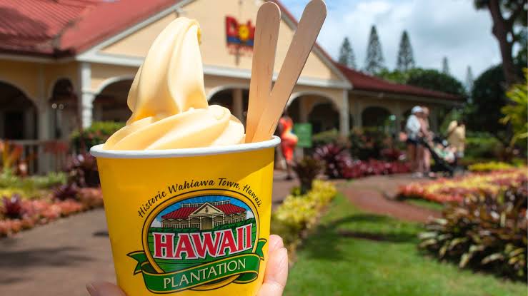 Dole Plantation — about 45 min from Waikiki